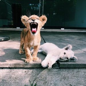 Meet your Posher, Nura